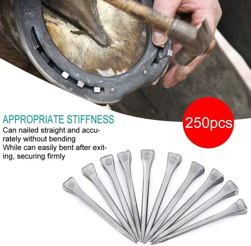 Kodrily 250PCS Horseshoe Nails, E6 Horse Shoe Nails, Sturdy Horseshoe Nail Kit, 2.13in Elasticity Steel Hoof Peg Firmly Horse Tool Accessory for Horse Training Equestrian Sports - Image 3